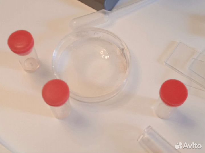 Микроскоп детский 300х