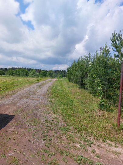 Участок 30 сот. (ИЖС)