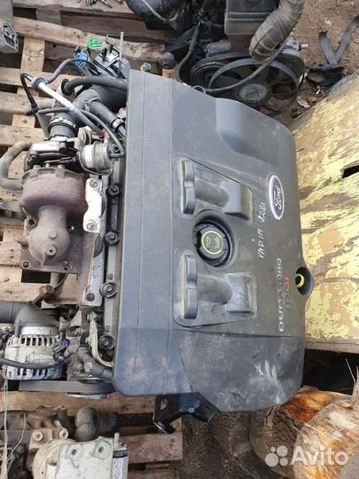 Двигатель Ford focus,Mondeo 00-06г 2,0 tdci