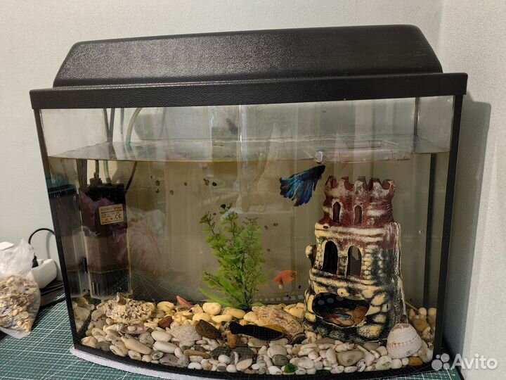 Аквариум с рыбками