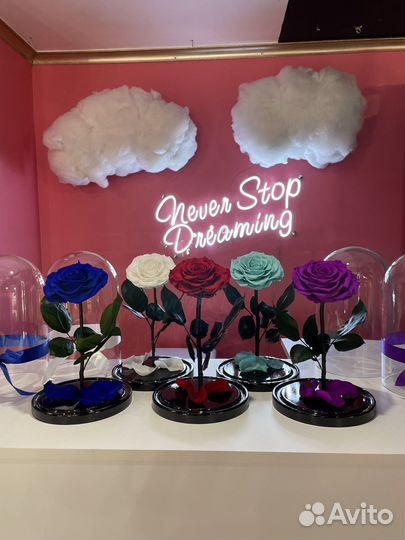 Живая роза в колбе