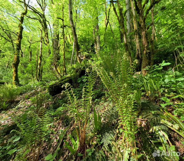 Аренда GoPro Hero 11