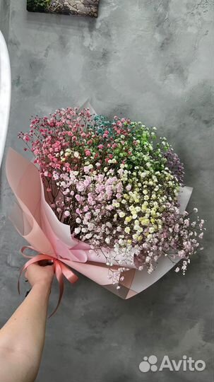 Цветы гипсофила