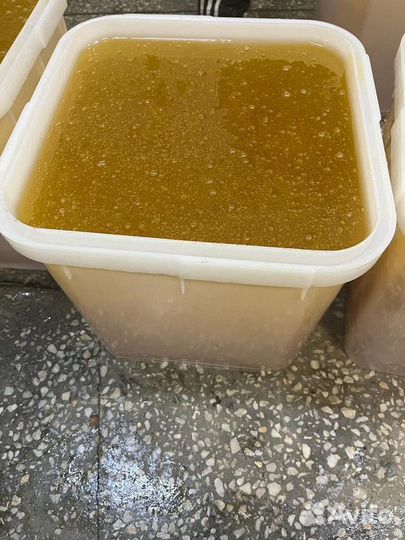 Мед Донник качка 2023 год