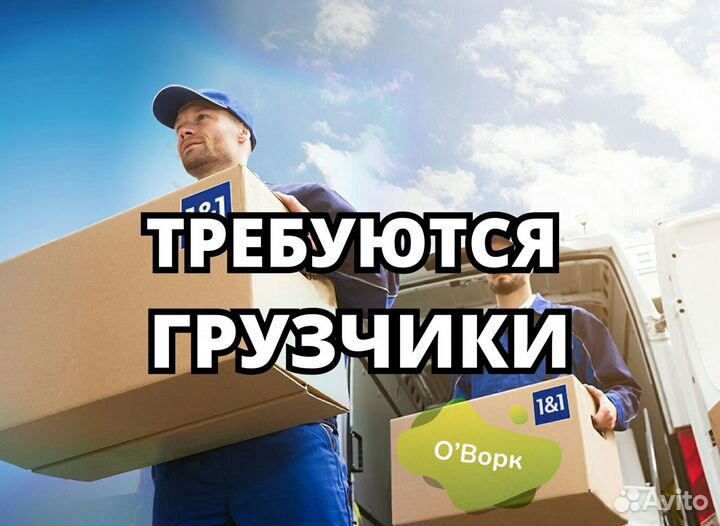 Грузчик ежедневная оплата. Код:kq771