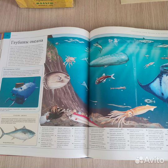 Планета земля