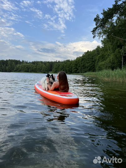 Supboard аренда