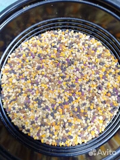 Пыльца пчелиная