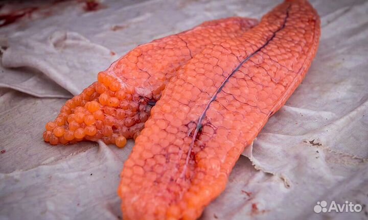 Икра форели в ястыках свежая