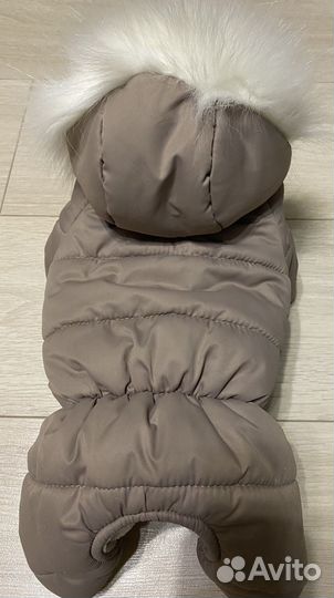 Одежда для собак мелких пород