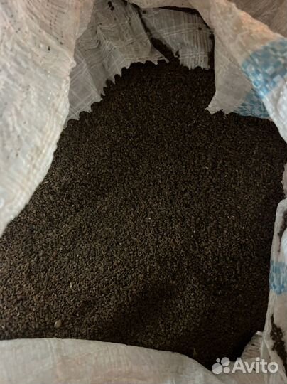 Семена фацелии