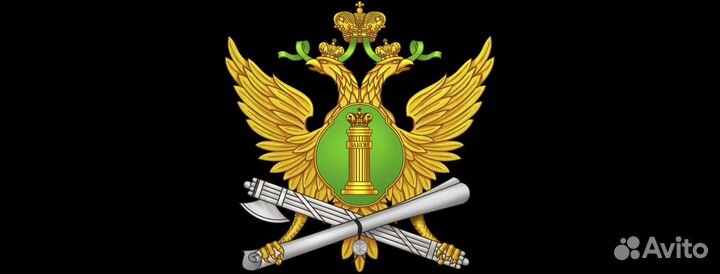 Представление интересов в фссп и судах