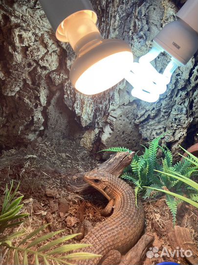 Греющие и уф лампы для рептилий
