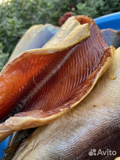 Горбуша оптом и в розницу