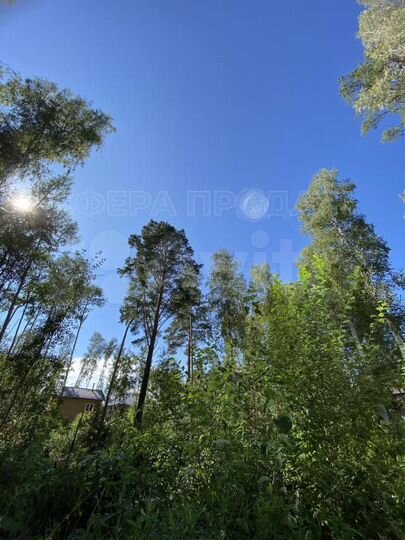 Участок 8 сот. (СНТ, ДНП)