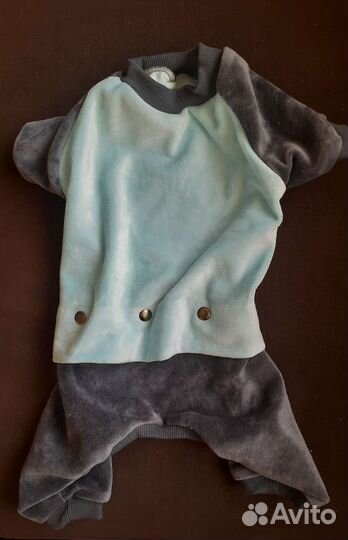 Одежда для собак