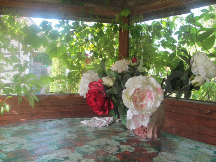 Дача 64 м² на участке 8 сот.