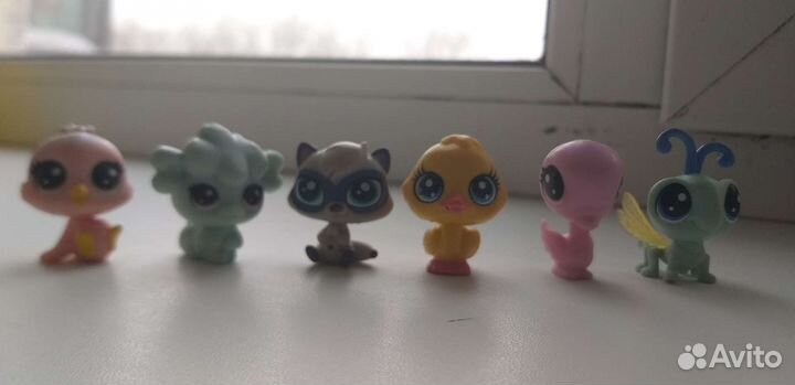 Lps, лпс, петы