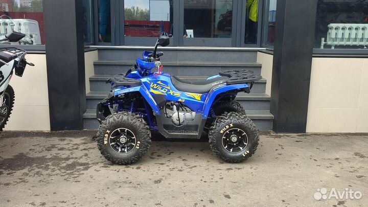 Детский квадроцикл motoland wild X PRO 125