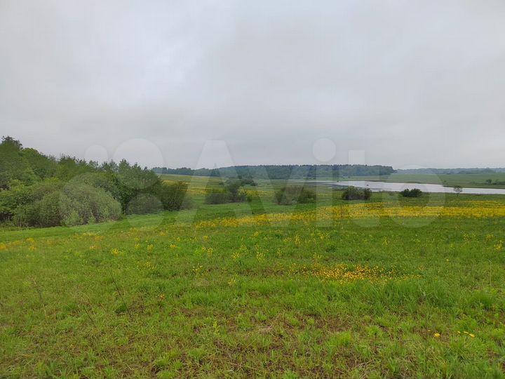 Участок 4 га (СНТ, ДНП)