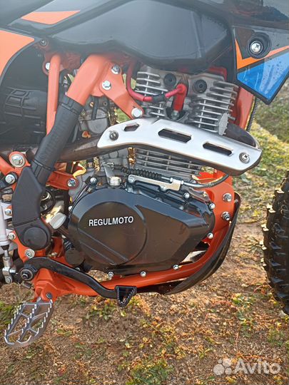 Регульмото атлет про