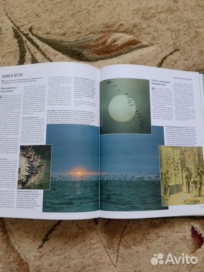 Книга о природе