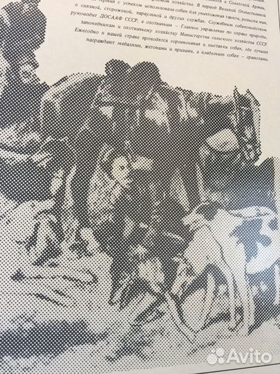 Спички коллекционные