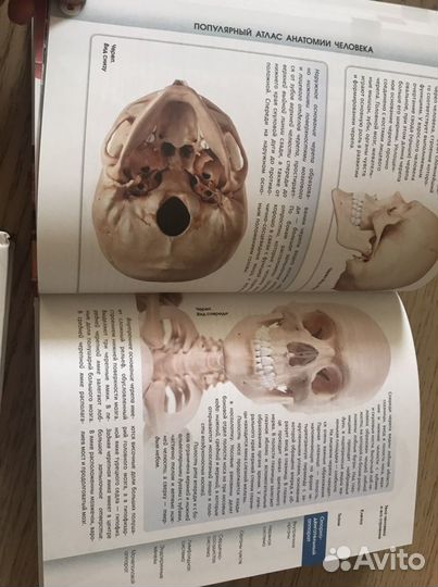 Обучающие развивающие книги