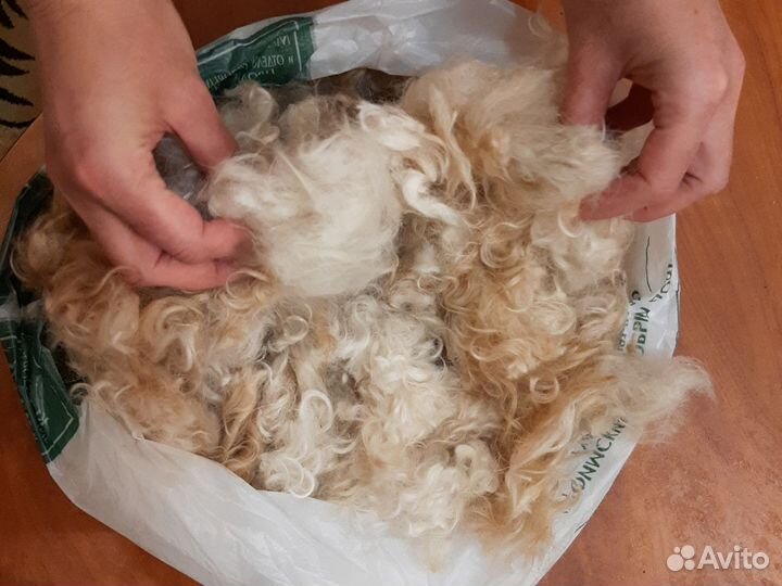 Собачья шерсть фокстерьера