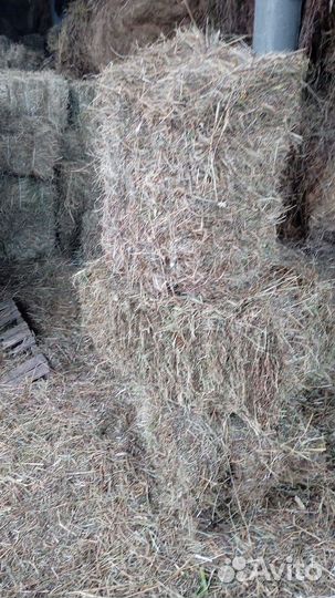 Сено в брикетах