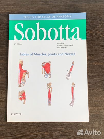 Sobotta атлас комплект (на английском)