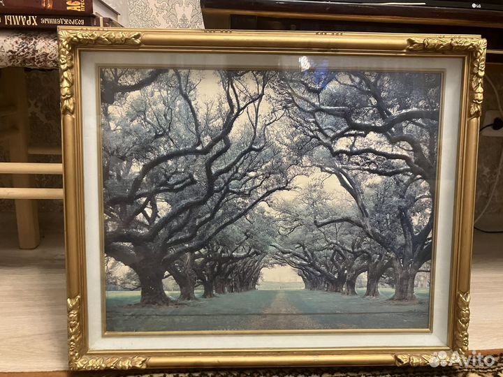 Картина СССР