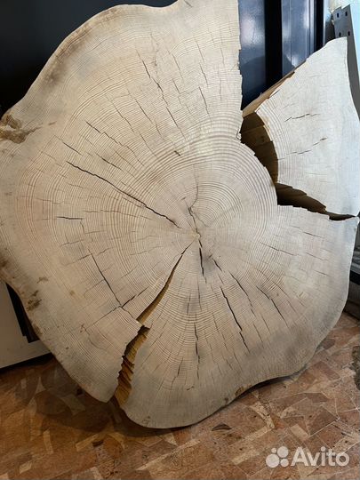 Слэб дерева и спилы