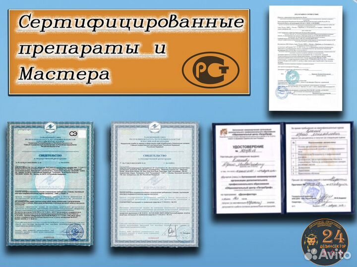 Уничтожение клопов, тараканов, клещей, грызунов