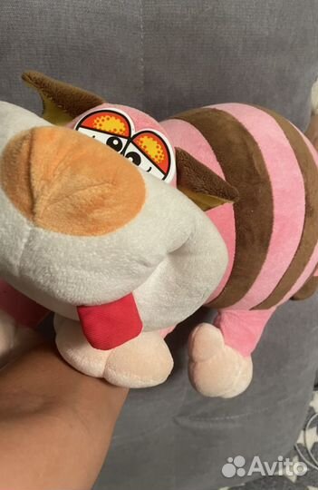 Милейший диванный кот