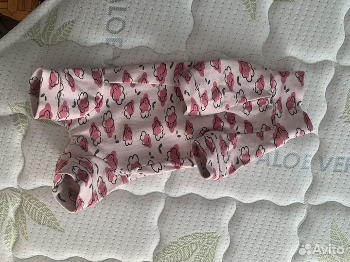 Костюмы для кошек или собак мелких пород