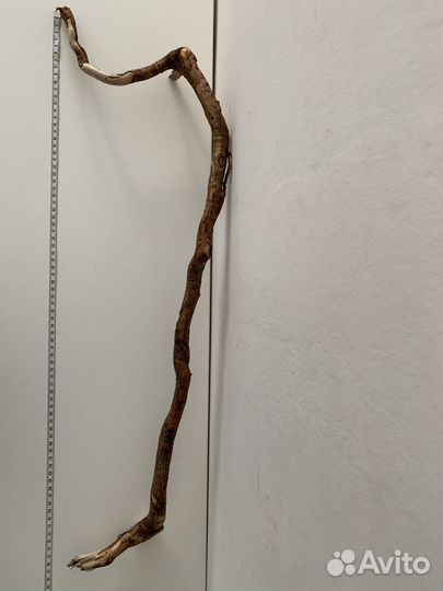 Коряга дрифтвуд