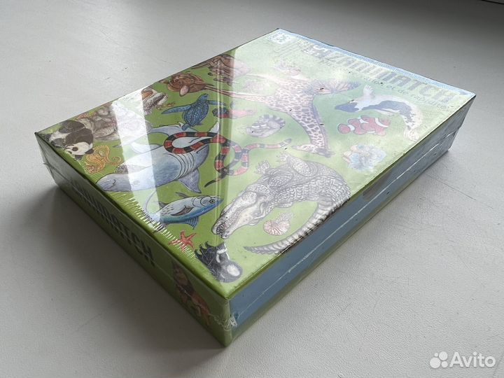 Djeco занимач настольные игры