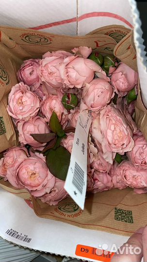 Розы кустовые, готовые букеты, цветы, розы