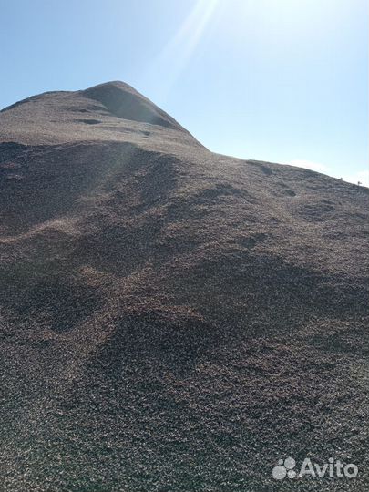 Лузга подсолнечника