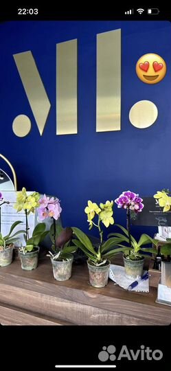 Парикмахер универсал