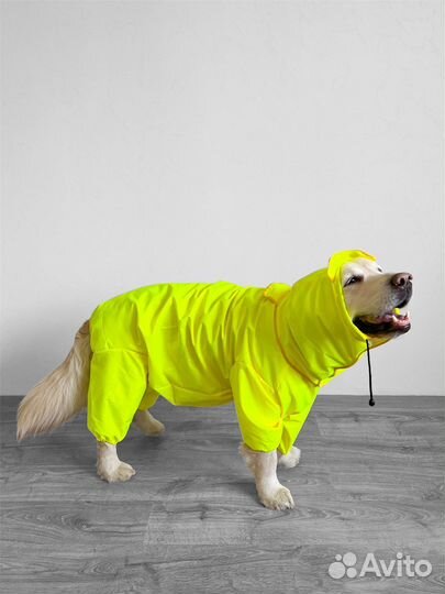 Одежда и обувь для собак и кошек