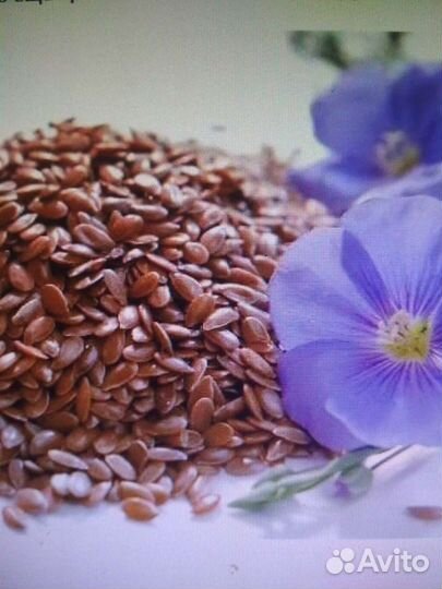 Лен семена