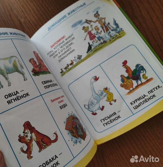 Книжки для детей