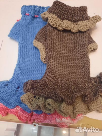 Одежда для собак мелких пород