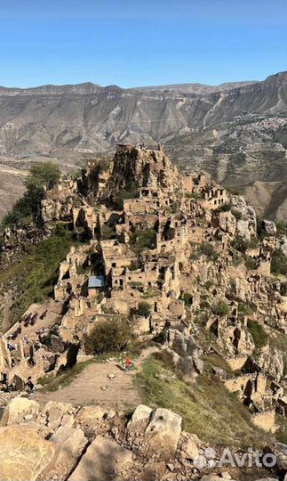 Гид экскурсовод