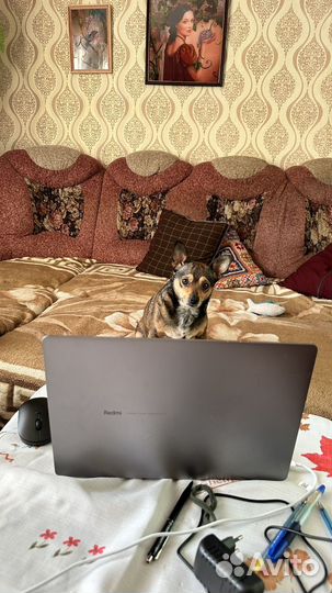 Xiaomi redmibook pro 14