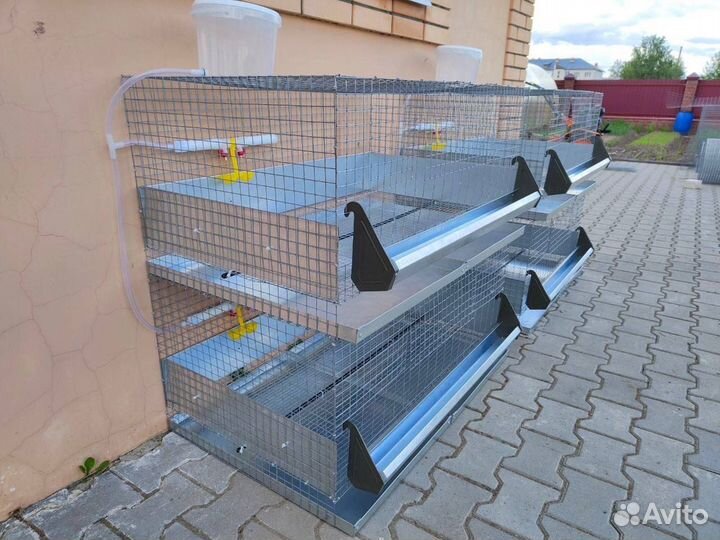 Клетки для кур бройлеров на 20 голов