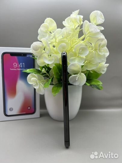 iPhone X, 64 ГБ