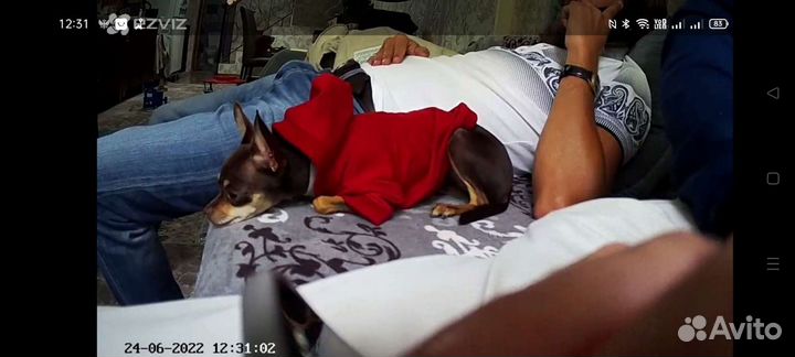 Видеонаблюдение Ezviz С3s c wi-fi